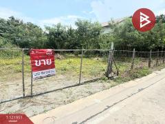 ขายที่ดิน เนื้อที่ 1 งาน 50 ตร.วา ห้วยกะปิ ชลบุรี-202509211652321758448352198.jpg