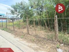 ขายที่ดิน เนื้อที่ 1 งาน 50 ตร.วา ห้วยกะปิ ชลบุรี-202509211652331758448353265.jpg