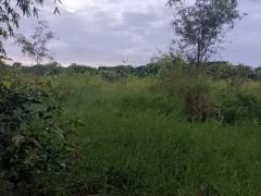 ขายที่ดินแปลงใหญ่ 8 ไร่ หน้ากองบิน 4 ซอย.โพธิสมบัติ อ.ตาคลี จ.นครสวรรค์ 