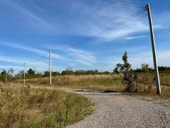 ขายที่ดิน 3-1-51ไร่ 2.3ลบ. ฟรีโอน ถนน น้ำประปา ไฟฟ้า ใกล้ถนนใหญ่ชัยภูมิ-สีคิ้ว ติดวิสาหกิจชุมชนโฮมฮักจัตุรัส ต.บ้านกอก อ.จัตุรัส ชัยภูมิ