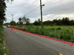 ขายที่ดิน 5ไร่45ตรว. 2.5ลบ. ติดถนน2เลน น้ำประปา ไฟฟ้า บ่อน้ำ บ้านวังธารทอง ต.ดอยหล่อ อ.ดอยหล่อ เชียงใหม่