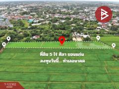 ขายที่ดิน เนื้อที่ 5 ไร่ ศิลา ขอนแก่น-202509220923351758507815043.jpg