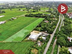 ขายที่ดิน เนื้อที่ 5 ไร่ ศิลา ขอนแก่น-202509220923351758507815659.jpg