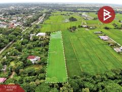 ขายที่ดิน เนื้อที่ 5 ไร่ ศิลา ขอนแก่น-202509220923361758507816831.jpg