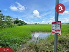 ขายที่ดิน เนื้อที่ 5 ไร่ ศิลา ขอนแก่น-202509220923371758507817430.jpg