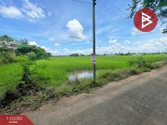 ขายที่ดิน เนื้อที่ 5 ไร่ ศิลา ขอนแก่น-202509220923381758507818085.jpg