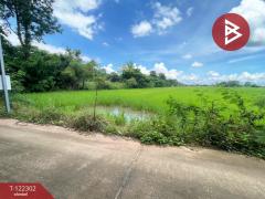 ขายที่ดิน เนื้อที่ 5 ไร่ ศิลา ขอนแก่น-202509220923381758507818717.jpg