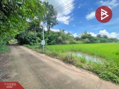 ขายที่ดิน เนื้อที่ 5 ไร่ ศิลา ขอนแก่น-202509220923391758507819309.jpg