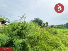 ขายที่ดิน-เนื้อที่-3-งาน-24.5-ตารางวา-น้