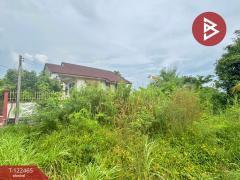 ขายที่ดิน เนื้อที่ 3 งาน 24.5 ตารางวา น้ำคอก ระยอง-202509220936241758508584504.jpg