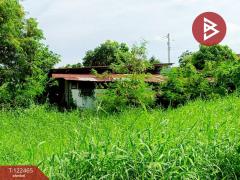 ขายที่ดิน เนื้อที่ 3 งาน 24.5 ตารางวา น้ำคอก ระยอง-202509220936251758508585068.jpg