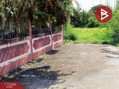 ขายที่ดิน เนื้อที่ 3 งาน 24.5 ตารางวา น้ำคอก ระยอง-202509220936251758508585769.jpg