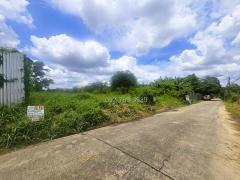 ขายที่ดินรามอินทรา 201 ตร.วา ใกล้เซ็นทรัลรามอินทรา รถไฟฟ้าสายสีชมพู-202509221052491758513169145.jpg