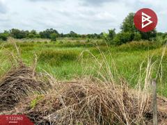 ขาย/เช่า-ที่ดินเปล่า-เนื้อที่-200-ตารา