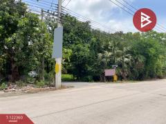 ขาย/เช่า ที่ดินเปล่า เนื้อที่ 200 ตารางวา คลองหก ปทุมธานี-202509221119171758514757235.jpg