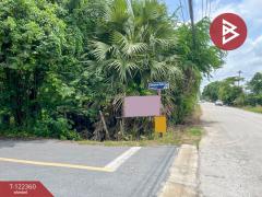 ขาย/เช่า ที่ดินเปล่า เนื้อที่ 200 ตารางวา คลองหก ปทุมธานี-202509221119171758514757760.jpg