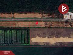 ขาย/เช่า ที่ดินเปล่า เนื้อที่ 200 ตารางวา คลองหก ปทุมธานี-202509221119181758514758814.jpg