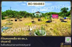 BO-984883 ที่ดินหนองเสือ 60 ตร.ว. ปทุมธานี ใกล้โรงเรียนสารสาสน์วิเทศปทุมธานี