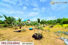 BO-984883 ที่ดินหนองเสือ 60 ตร.ว. ปทุมธานี ใกล้โรงเรียนสารสาสน์วิเทศปทุมธานี-202509221148561758516536203.jpg