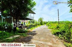 BO-984883 ที่ดินหนองเสือ 60 ตร.ว. ปทุมธานี ใกล้โรงเรียนสารสาสน์วิเทศปทุมธานี-202509221148561758516536772.jpg