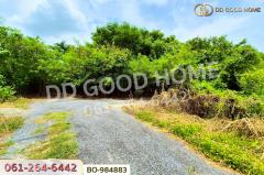 BO-984883 ที่ดินหนองเสือ 60 ตร.ว. ปทุมธานี ใกล้โรงเรียนสารสาสน์วิเทศปทุมธานี-202509221148571758516537335.jpg