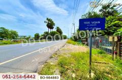 BO-984883 ที่ดินหนองเสือ 60 ตร.ว. ปทุมธานี ใกล้โรงเรียนสารสาสน์วิเทศปทุมธานี-202509221148581758516538462.jpg