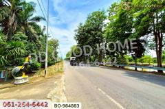 BO-984883 ที่ดินหนองเสือ 60 ตร.ว. ปทุมธานี ใกล้โรงเรียนสารสาสน์วิเทศปทุมธานี-202509221148591758516539035.jpg