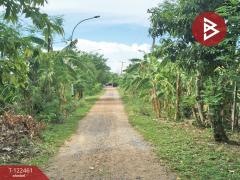 ขายที่ดิน เนื้อที่ 1 ไร่ ธัญบุรี ปทุมธานี-202509221202591758517379347.jpg