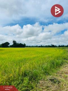 ขายที่ดิน เนื้อที่ 32 ไร่ 1 งาน 82.3 ตร.วา ทัพทัน อุทัยธานี