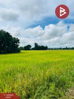 ขายที่ดิน เนื้อที่ 32 ไร่ 1 งาน 82.3 ตร.วา ทัพทัน อุทัยธานี-202509221250021758520202584.jpg