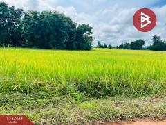 ขายที่ดิน เนื้อที่ 32 ไร่ 1 งาน 82.3 ตร.วา ทัพทัน อุทัยธานี-202509221250041758520204597.jpg