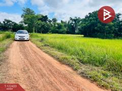 ขายที่ดิน เนื้อที่ 32 ไร่ 1 งาน 82.3 ตร.วา ทัพทัน อุทัยธานี-202509221250051758520205137.jpg