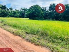 ขายที่ดิน เนื้อที่ 32 ไร่ 1 งาน 82.3 ตร.วา ทัพทัน อุทัยธานี-202509221250051758520205682.jpg