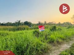 ขายที่ดินเปล่าถมแล้ว เนื้อที่ 2 งาน หนองเสือ ปทุมธานี-202509221334581758522898584.jpg