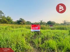 ขายที่ดินเปล่าถมแล้ว เนื้อที่ 2 งาน หนองเสือ ปทุมธานี-202509221334591758522899121.jpg