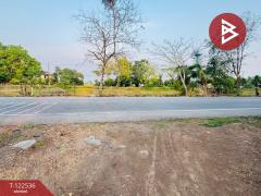 ขายที่ดินเปล่าถมแล้ว เนื้อที่ 2 งาน หนองเสือ ปทุมธานี-202509221334591758522899670.jpg