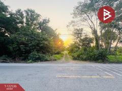 ขายที่ดินเปล่าถมแล้ว เนื้อที่ 2 งาน หนองเสือ ปทุมธานี-202509221335001758522900207.jpg