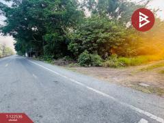 ขายที่ดินเปล่าถมแล้ว เนื้อที่ 2 งาน หนองเสือ ปทุมธานี-202509221335001758522900748.jpg