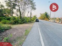 ขายที่ดินเปล่าถมแล้ว เนื้อที่ 2 งาน หนองเสือ ปทุมธานี-202509221335011758522901298.jpg