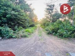 ขายที่ดินเปล่าถมแล้ว เนื้อที่ 2 งาน หนองเสือ ปทุมธานี-202509221335021758522902016.jpg