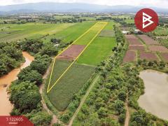 ขายที่ดินสวย เนื้อที่ 31 ไร่ 1 งาน 19 ตารางวา สะเดียง เพชรบูรณ์ ทำเลดี-202509221421371758525697362.jpg