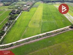 ขายที่ดินสวย เนื้อที่ 31 ไร่ 1 งาน 19 ตารางวา สะเดียง เพชรบูรณ์ ทำเลดี-202509221421381758525698440.jpg