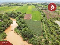 ขายที่ดินสวย เนื้อที่ 31 ไร่ 1 งาน 19 ตารางวา สะเดียง เพชรบูรณ์ ทำเลดี-202509221421381758525698973.jpg