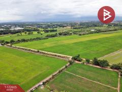 ขายที่ดินสวย เนื้อที่ 31 ไร่ 1 งาน 19 ตารางวา สะเดียง เพชรบูรณ์ ทำเลดี-202509221421391758525699499.jpg