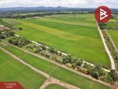 ขายที่ดินสวย เนื้อที่ 31 ไร่ 1 งาน 19 ตารางวา สะเดียง เพชรบูรณ์ ทำเลดี-202509221421401758525700018.jpg