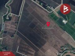 ขายที่ดินสวย เนื้อที่ 31 ไร่ 1 งาน 19 ตารางวา สะเดียง เพชรบูรณ์ ทำเลดี-202509221421401758525700539.jpg