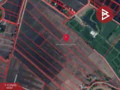 ขายที่ดินสวย เนื้อที่ 31 ไร่ 1 งาน 19 ตารางวา สะเดียง เพชรบูรณ์ ทำเลดี-202509221421411758525701056.jpg