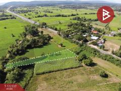 ขายที่ดิน เนื้อที่ 1 ไร่ 3 งาน 18 ตร.วา อุบลรัตน์ ขอนแก่น-202509221424341758525874553.jpg