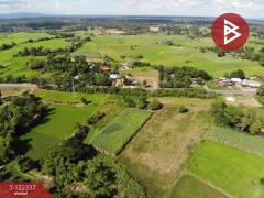 ขายที่ดิน เนื้อที่ 1 ไร่ 3 งาน 18 ตร.วา อุบลรัตน์ ขอนแก่น-202509221424371758525877414.jpg