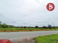 ขายที่ดิน เนื้อที่ 21 ไร่ 1 งาน พรเจริญ บึงกาฬ